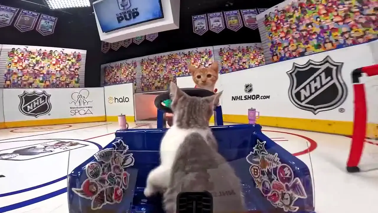 NHL Network live