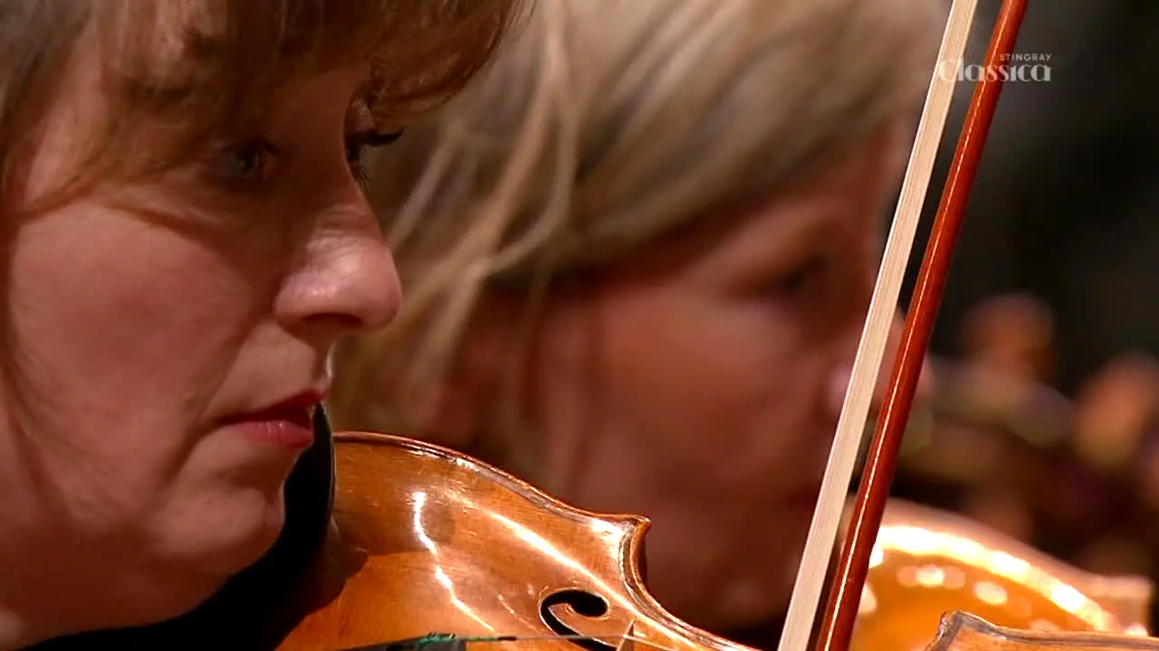 Stingray Classica live