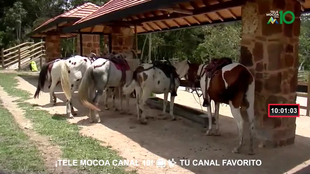 Tele Mocoa Canal 10 live