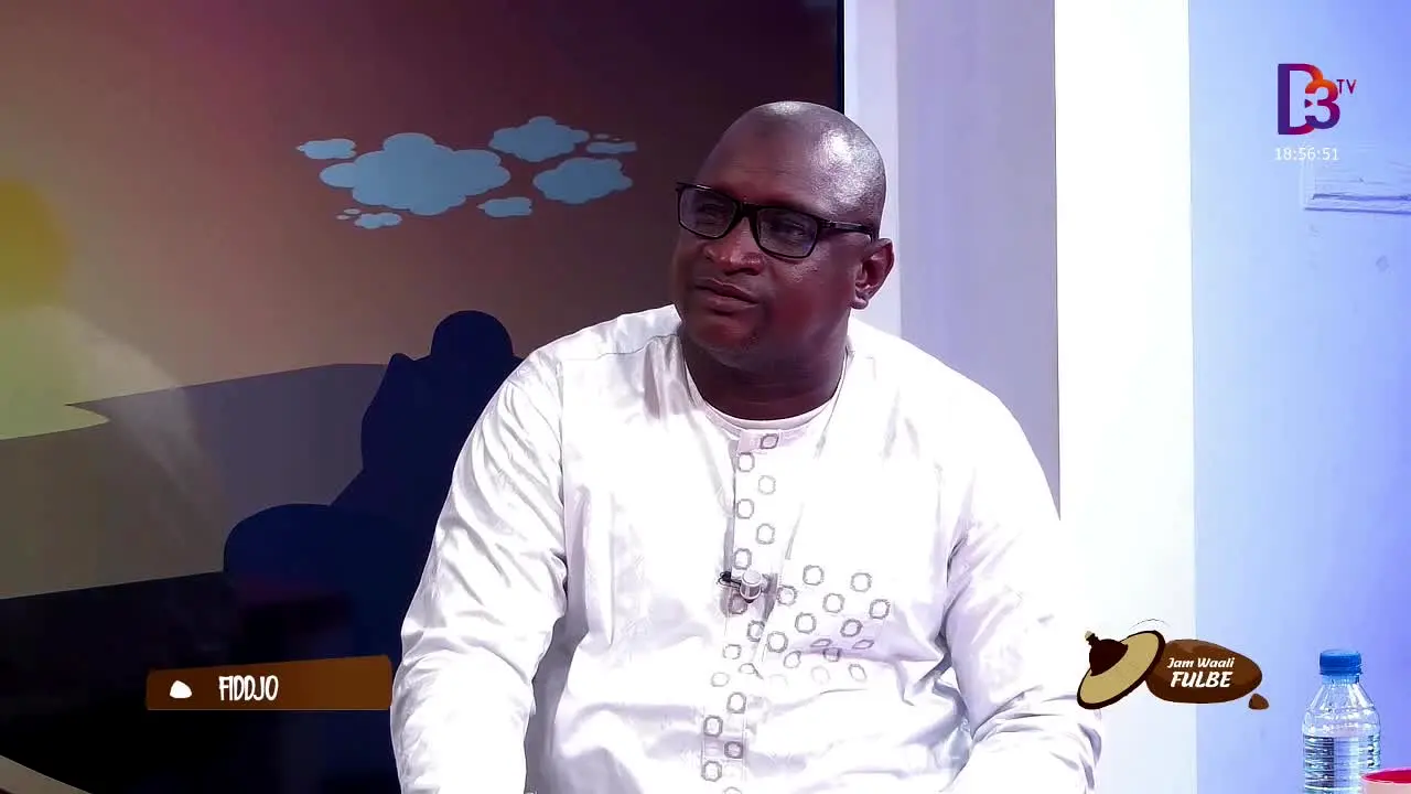 D3 TV live