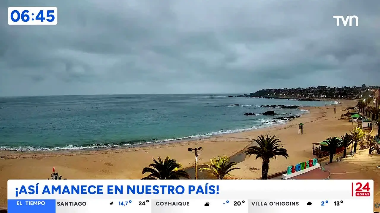 TVN live