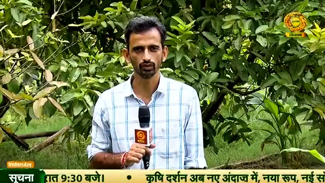 DD Kisan live