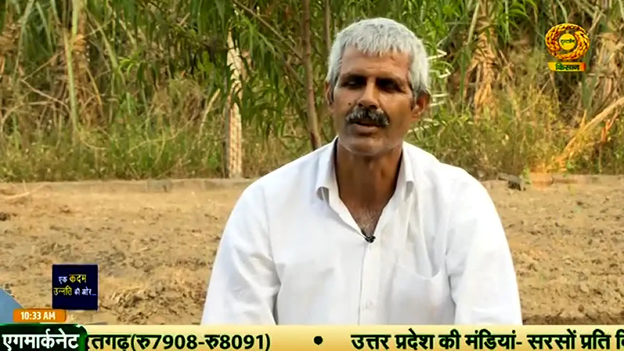 DD Kisan in diretta