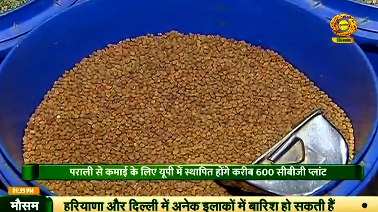 DD Kisan live