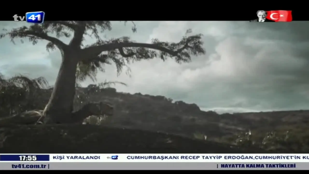 TV 41 in diretta