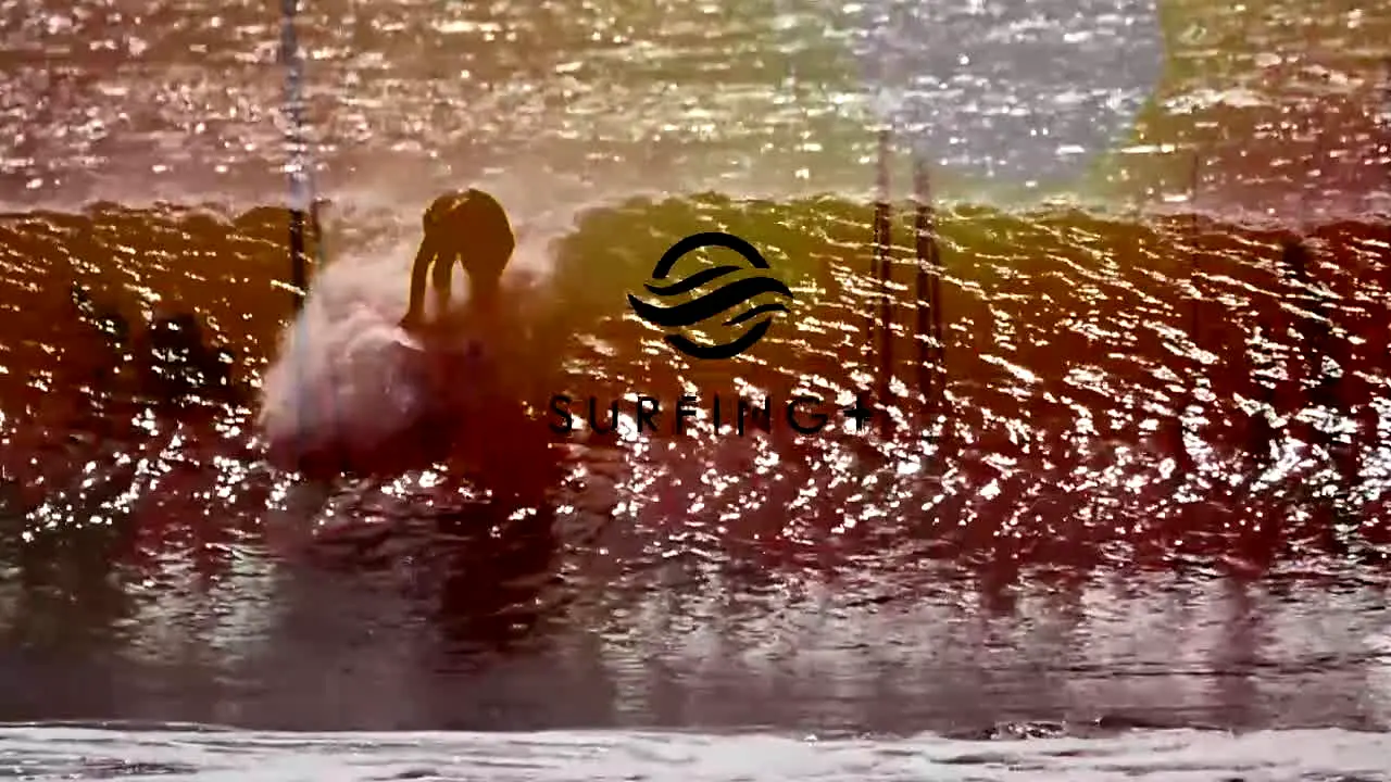Surfing+ live