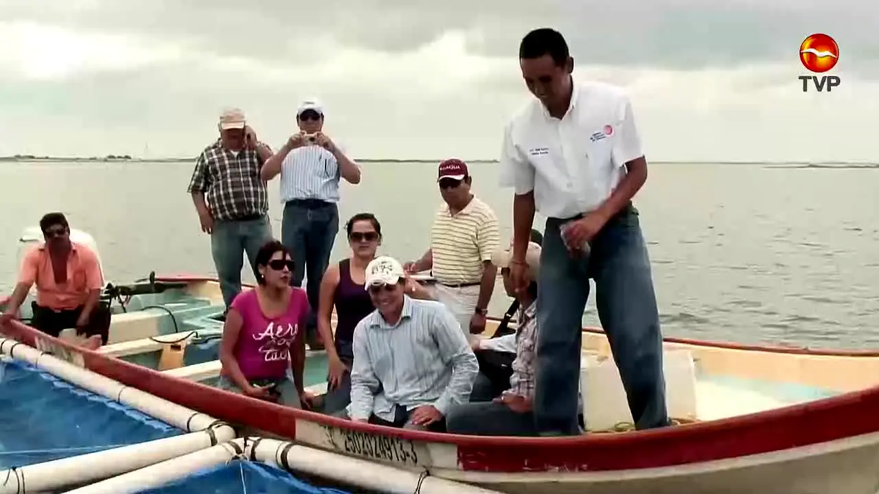 TVP Mazatlan ao vivo