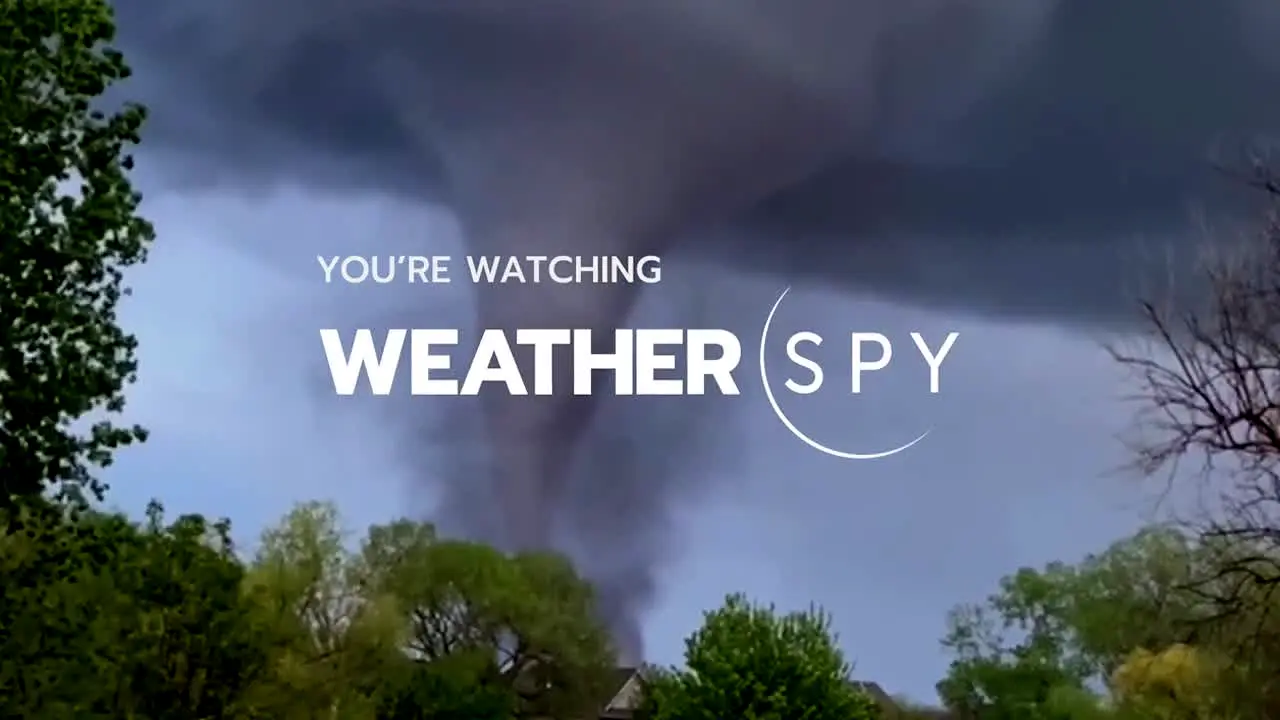 Weather Spy na żywo
