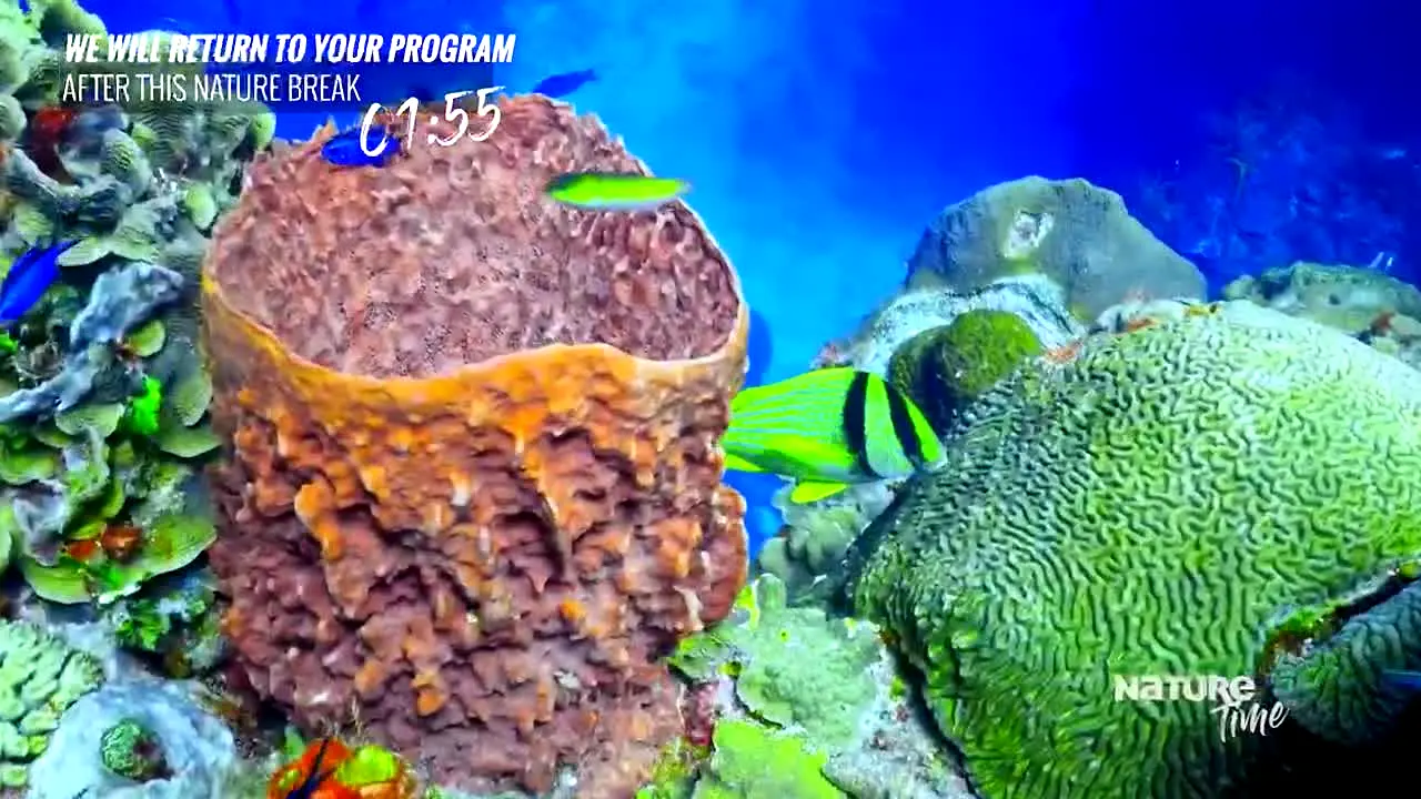 Nature Time live