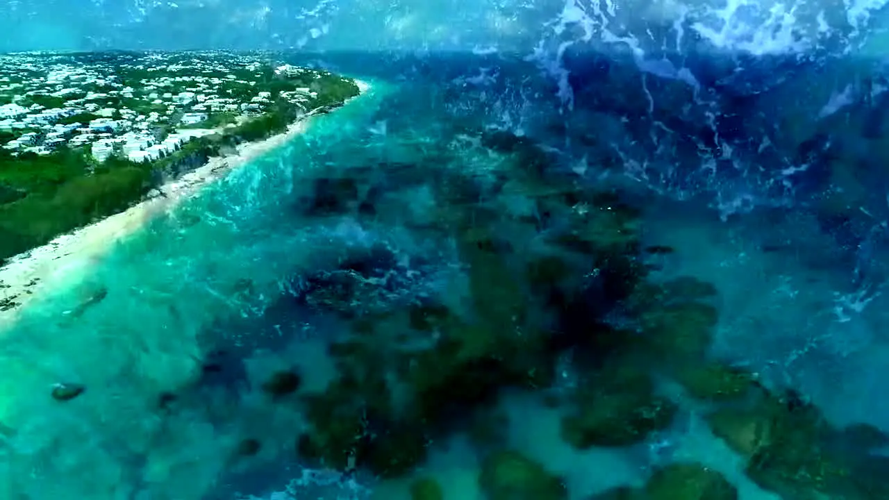 Island Vibes live