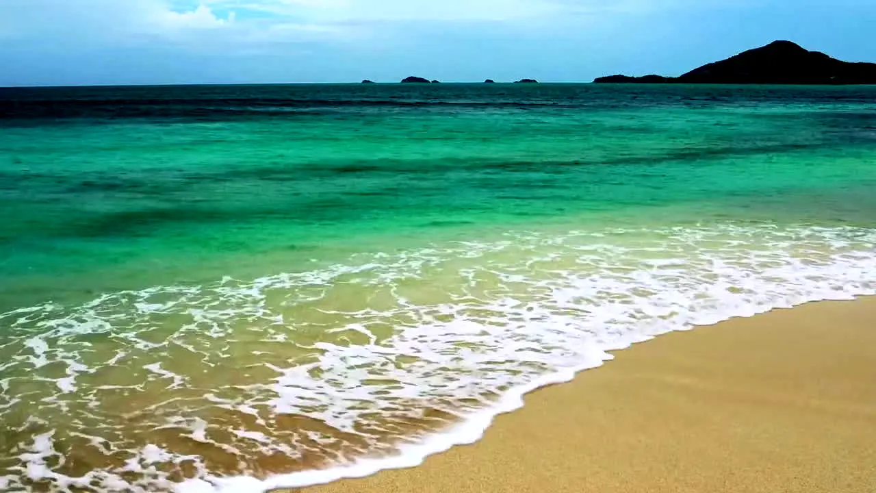 Island Vibes na żywo