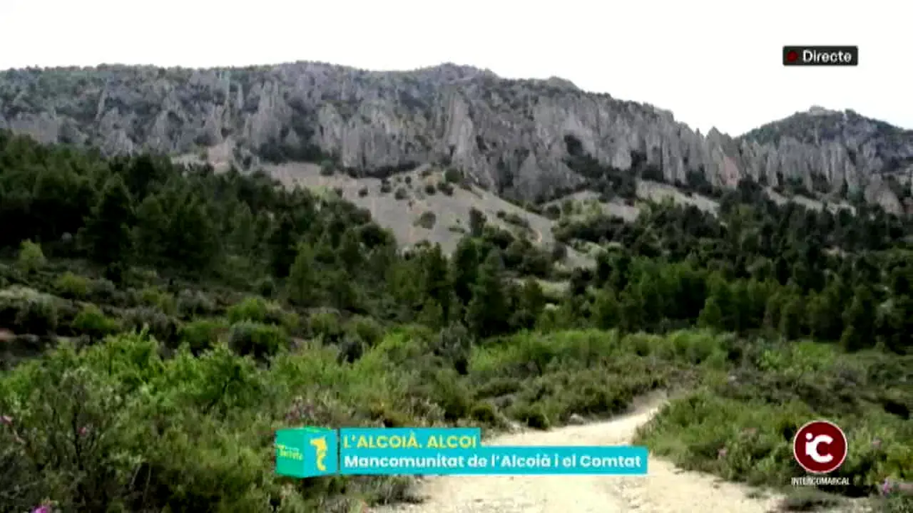 Intercomarcal TV — прямой эфир