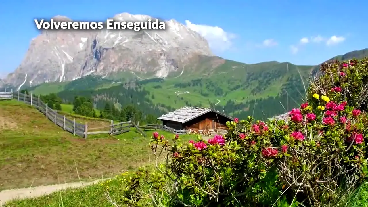 Cine Romantico in diretta