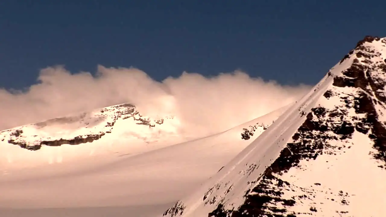 NatureVision in diretta
