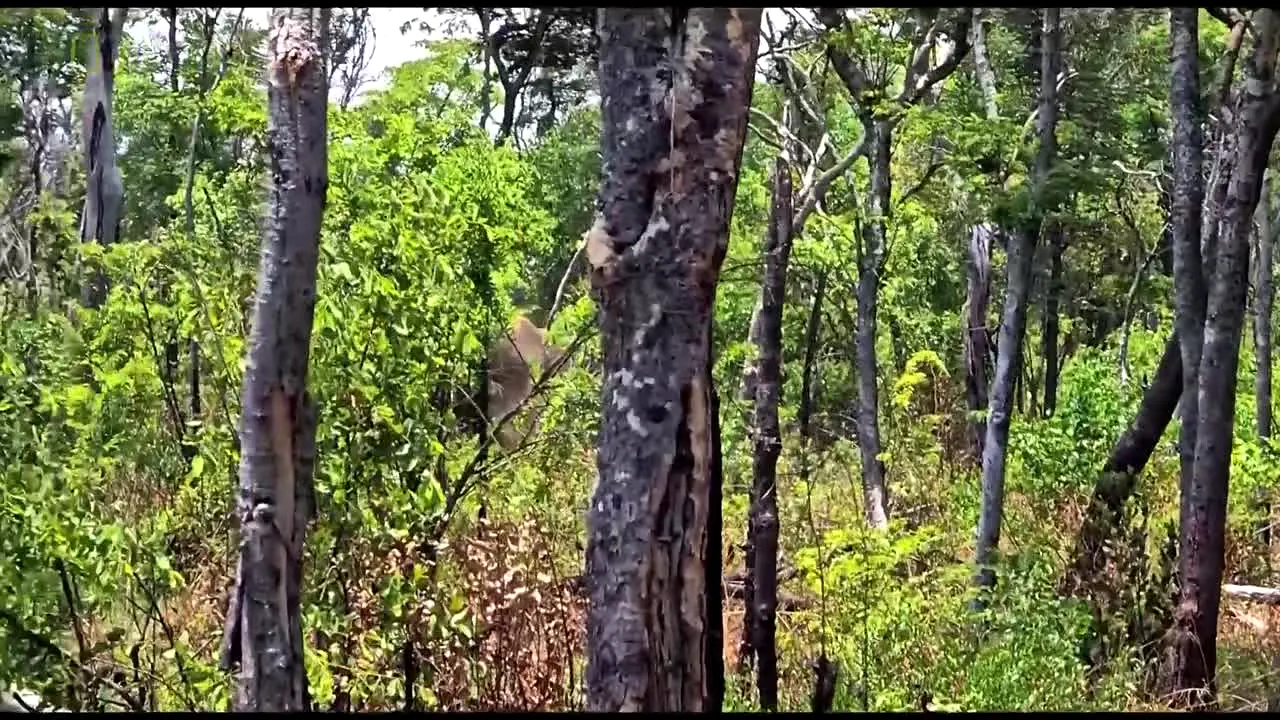 National Geographic live
