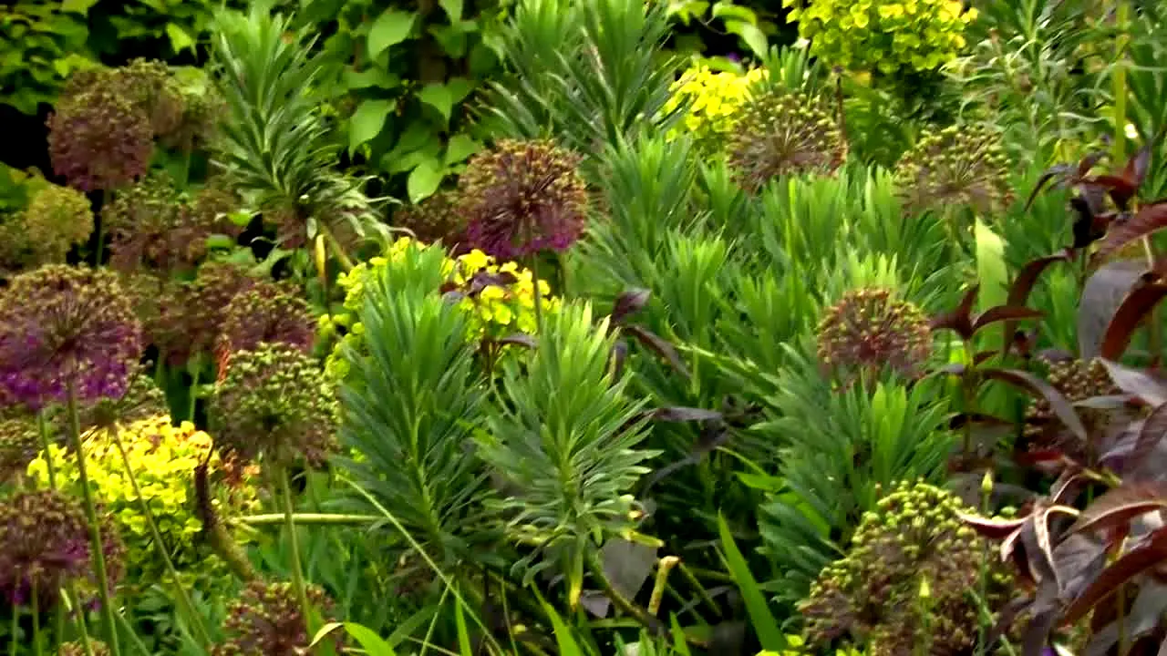 Gardeners' World live