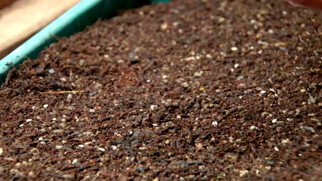 Gardeners' World live