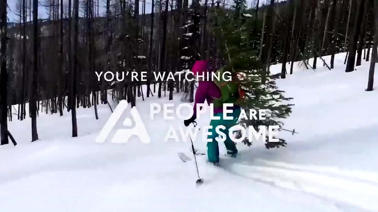 People Are Awesome live
