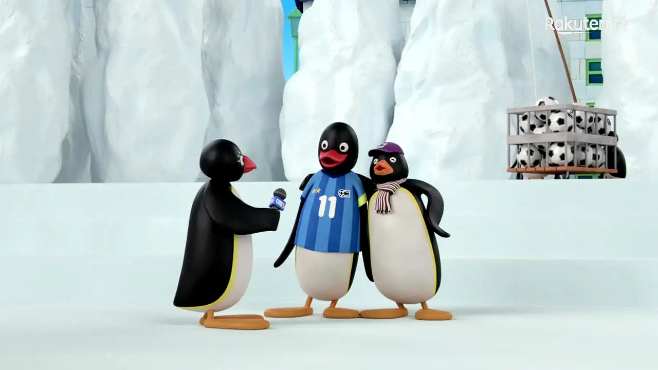 Pingu live