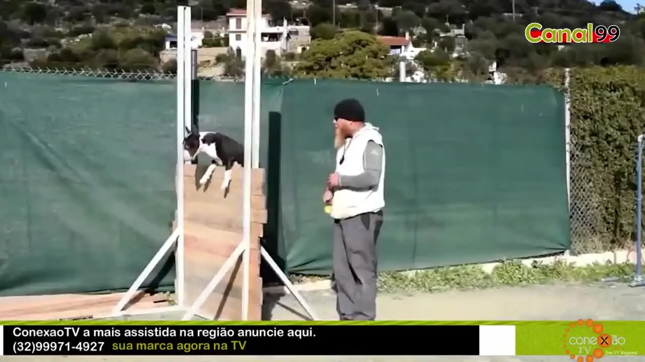 Conexao TV live