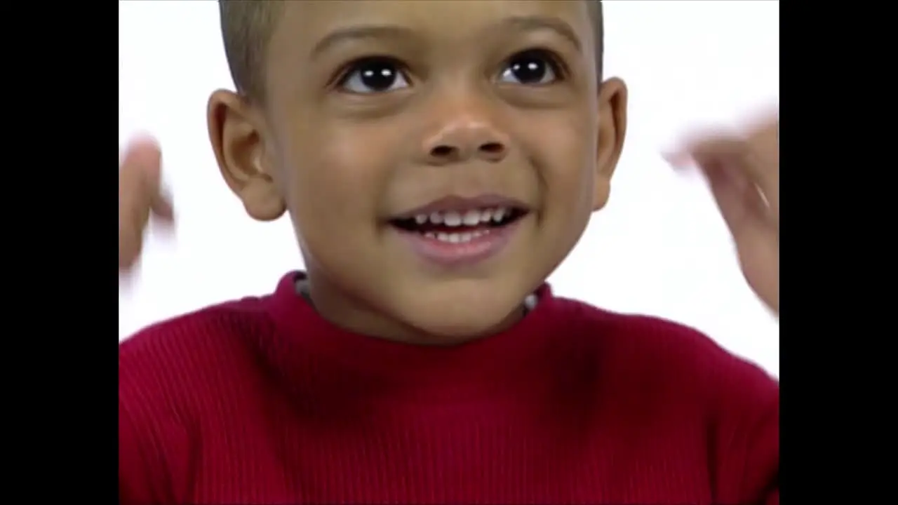 Baby Einstein live