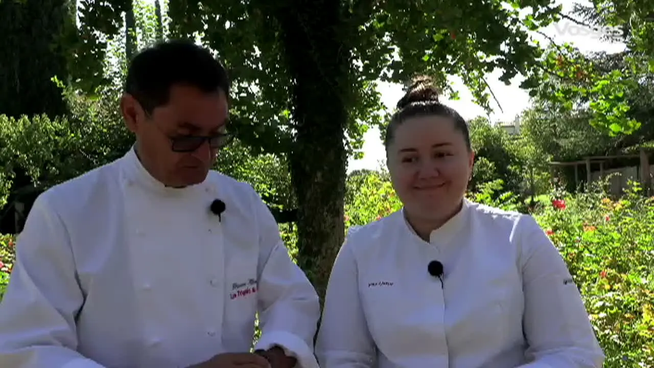 Vosges TV live