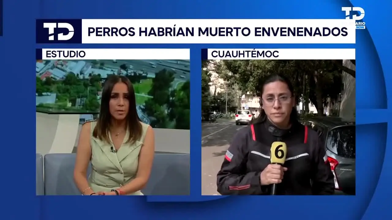 Telediario Now live