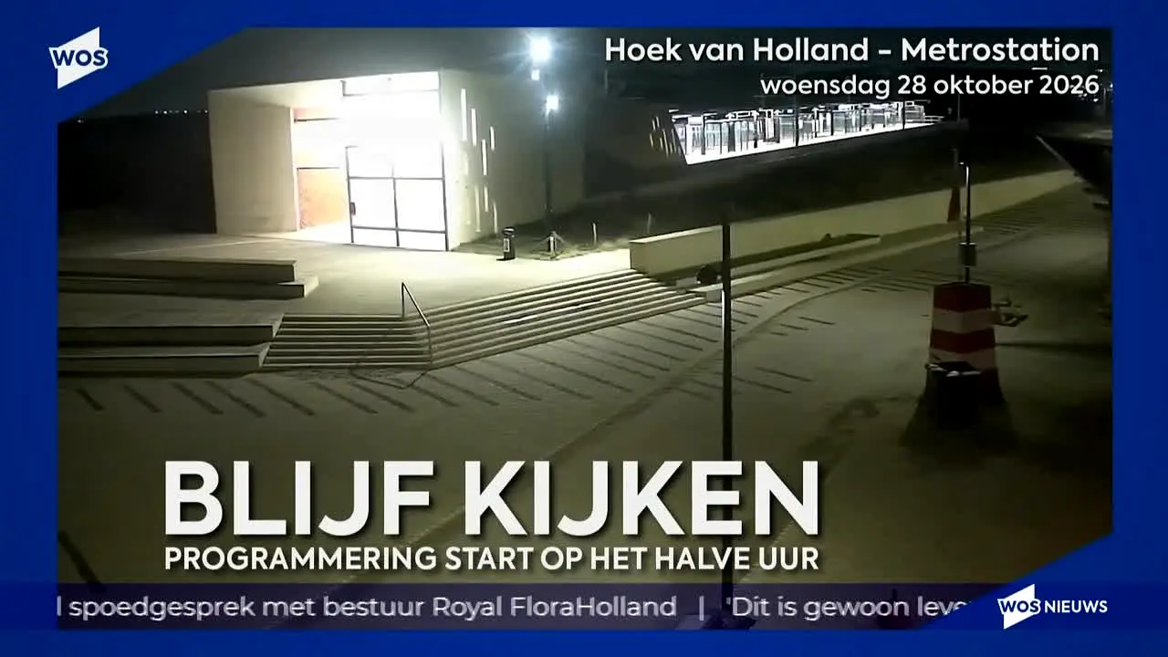 WOS TV live