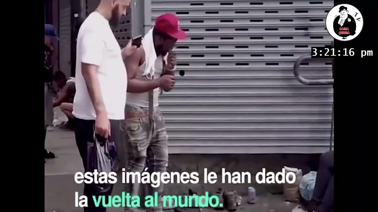 Salsagorda Television · US live