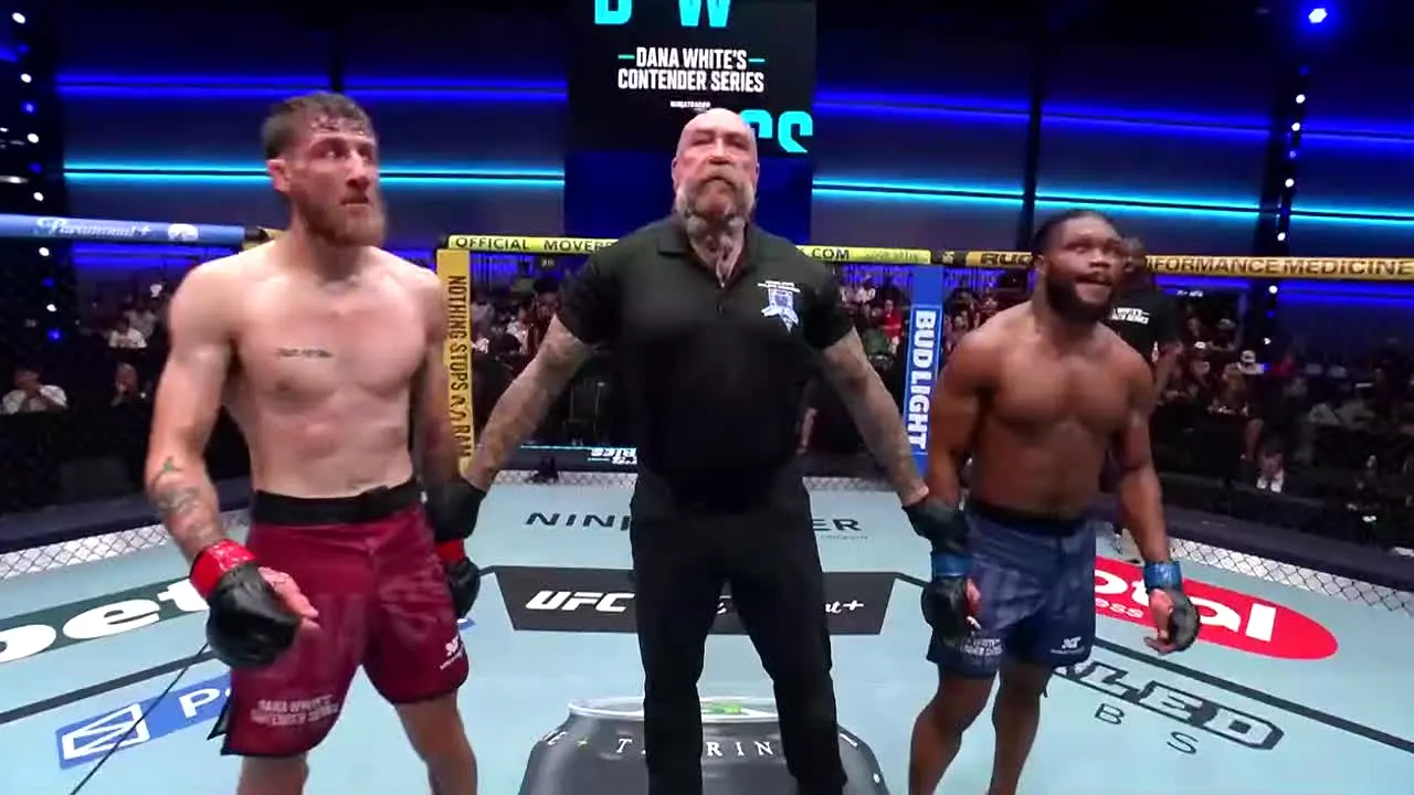 UFC live