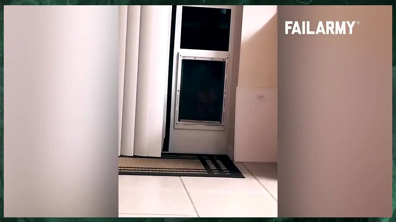 FailArmy en vivo