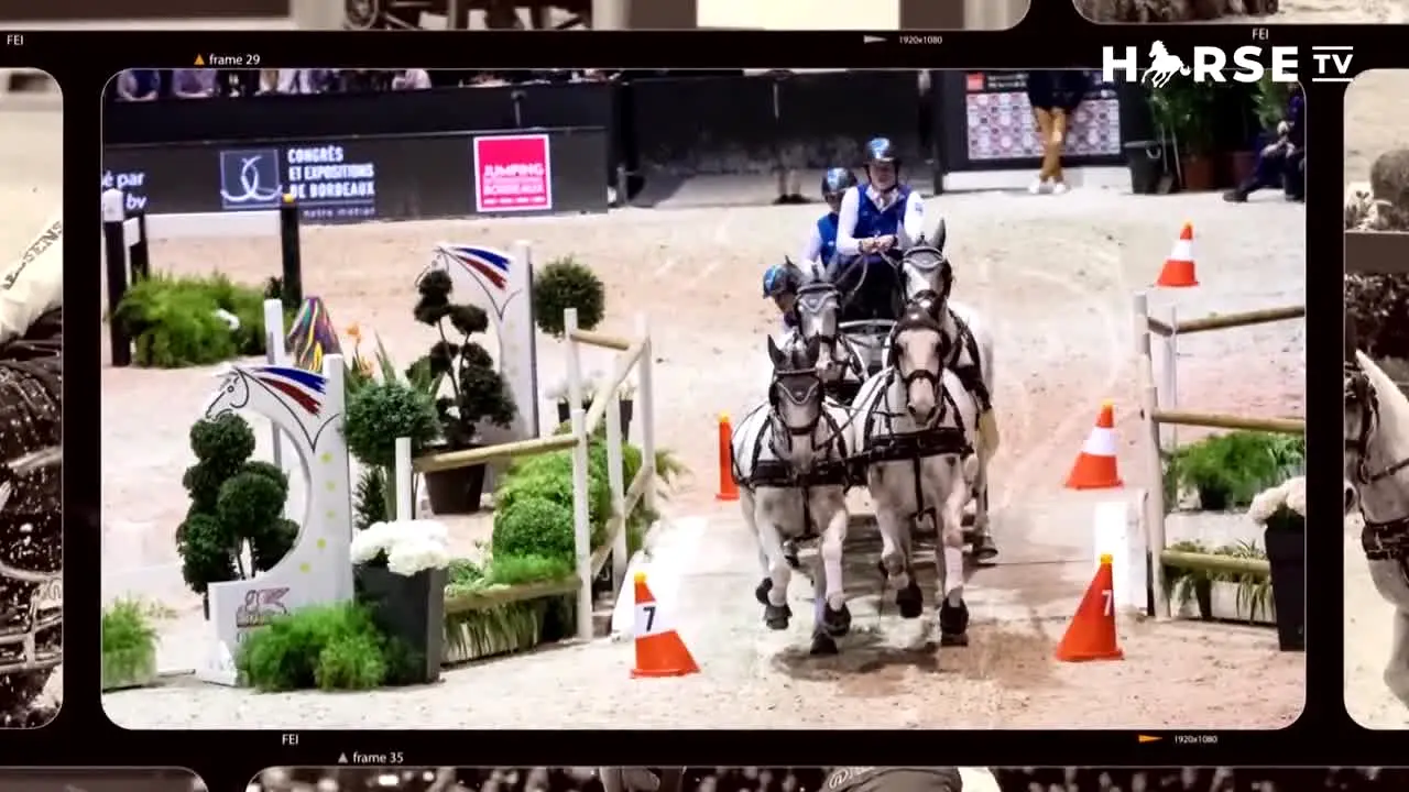 Horse TV live
