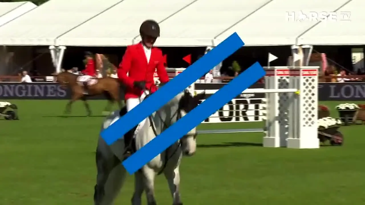 Horse TV live