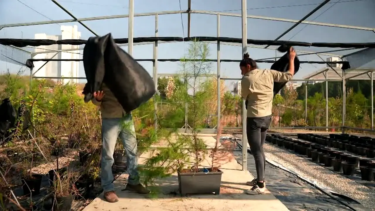 Pluto TV Naturaleza live