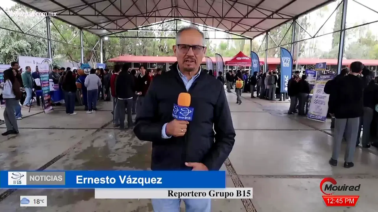 B15 Fresnillo live