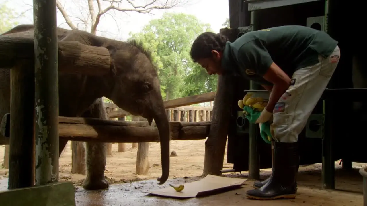 BBC Earth live