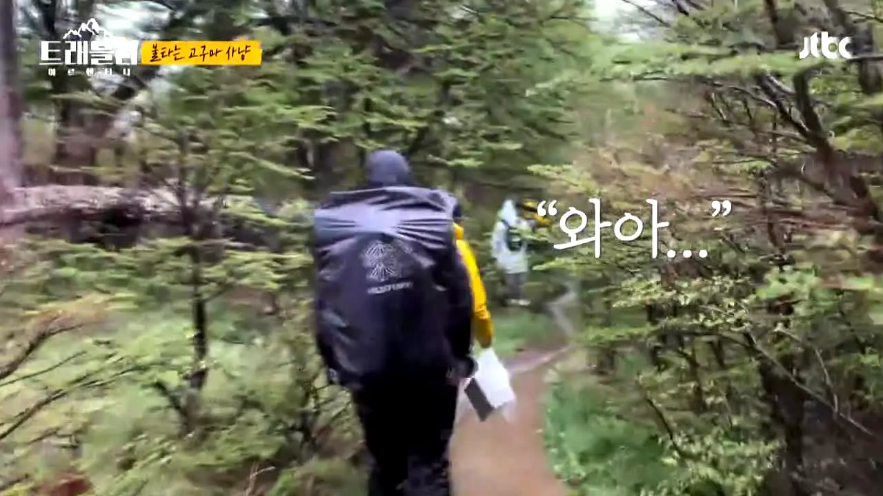 JTBC 트래블러 na żywo
