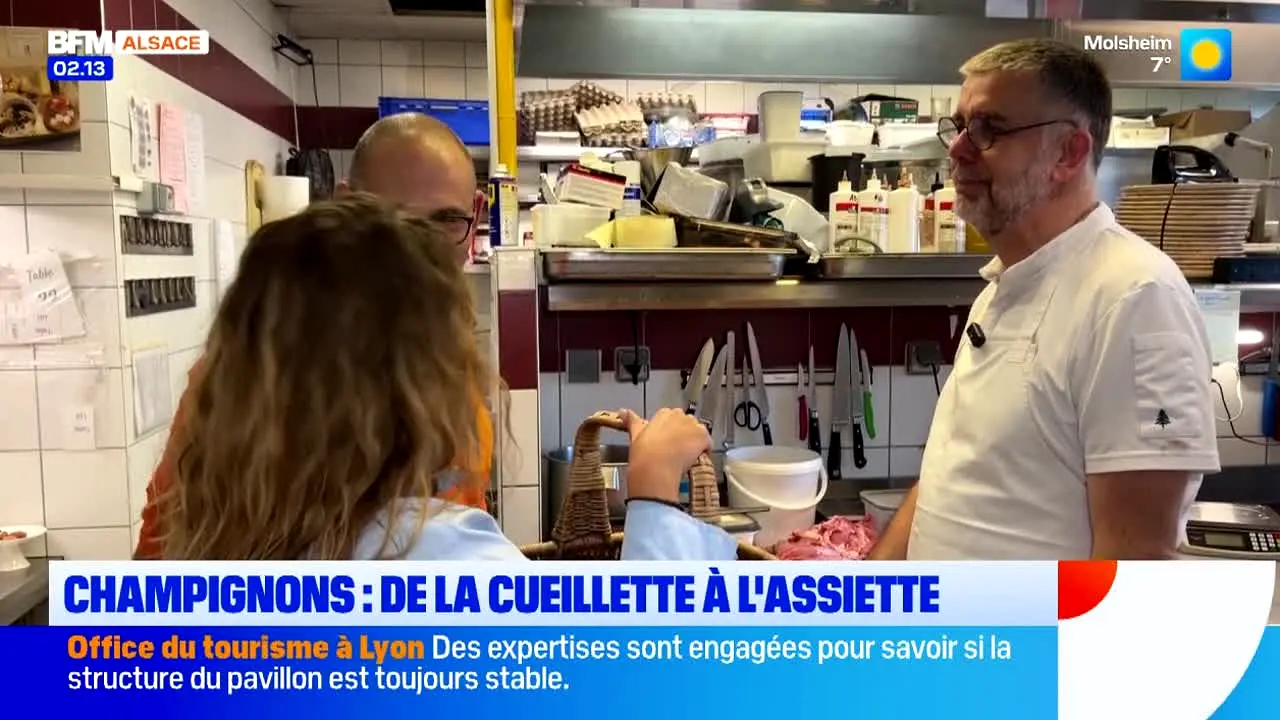 BFM Alsace live