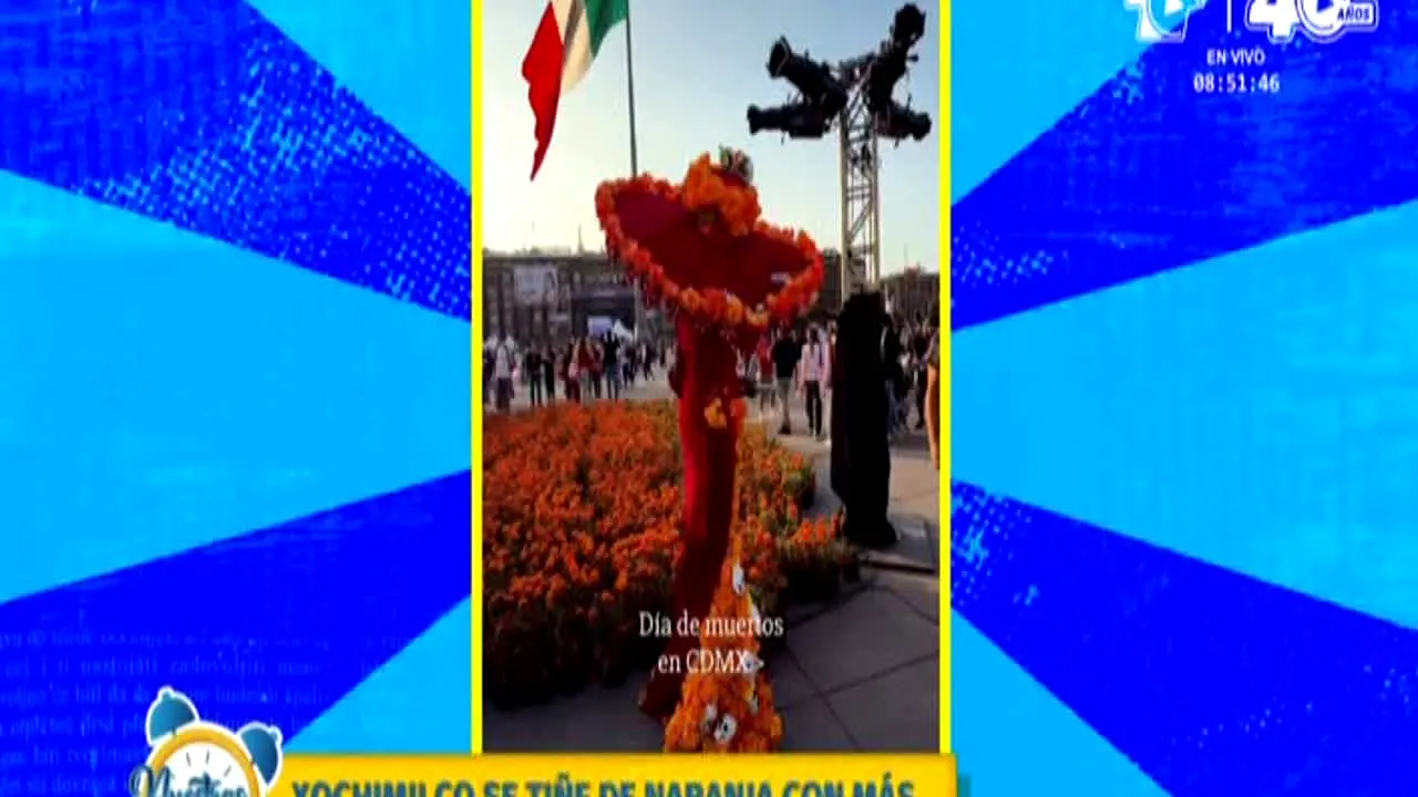 Telecaribe ao vivo