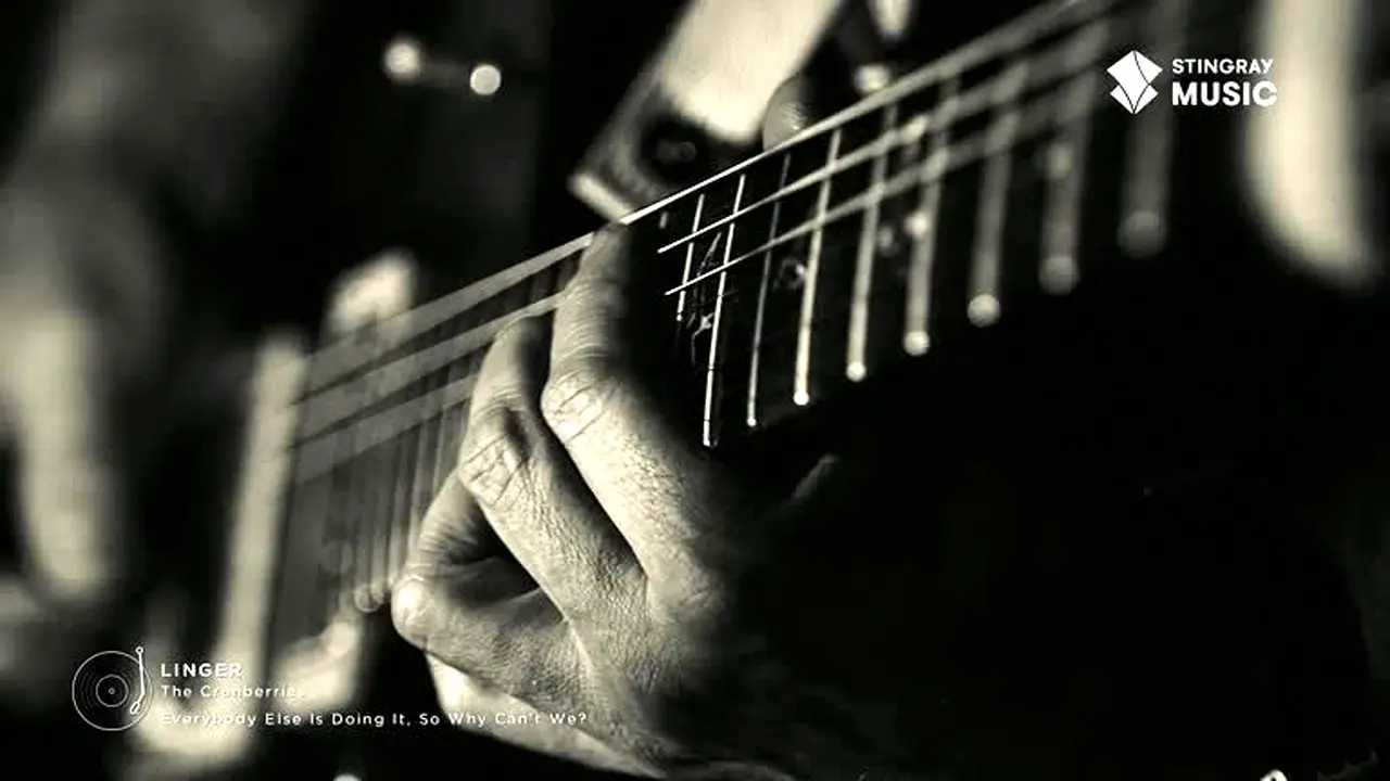 Stingray Souvenirs en vivo