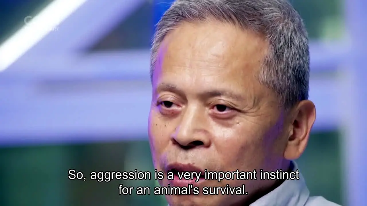 CGTN Documentary live
