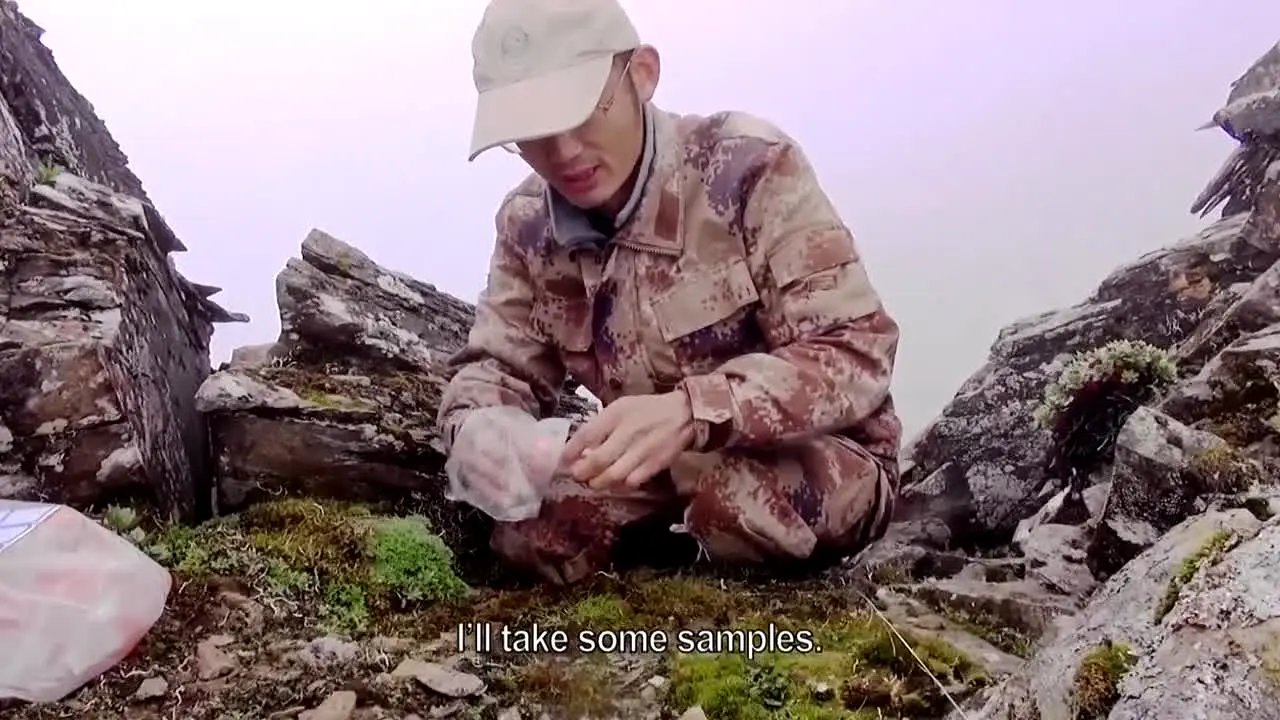 CGTN Documentary — прямой эфир