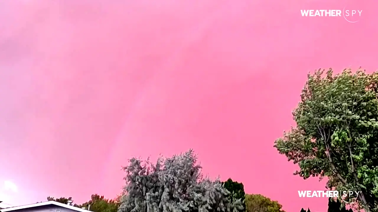 Weather Spy live