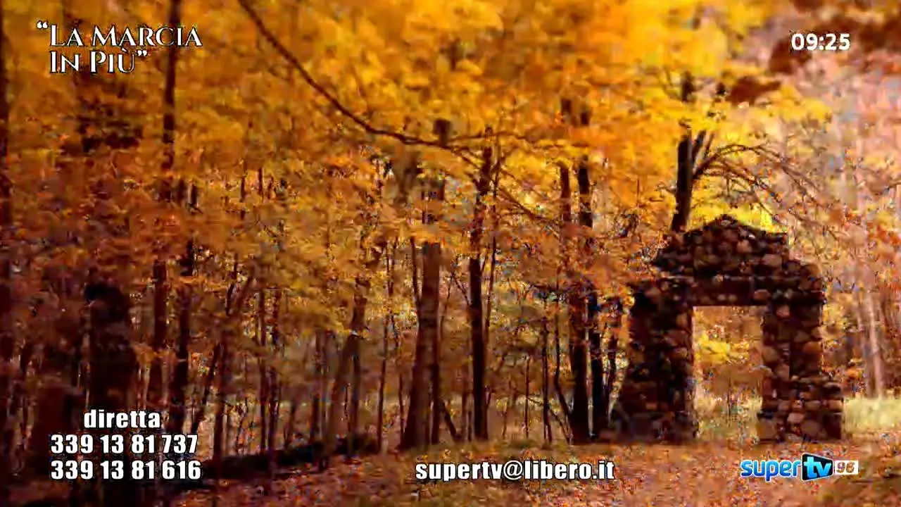 Super TV — прямой эфир