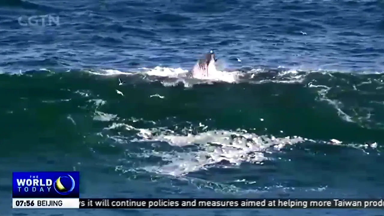 CGTN live