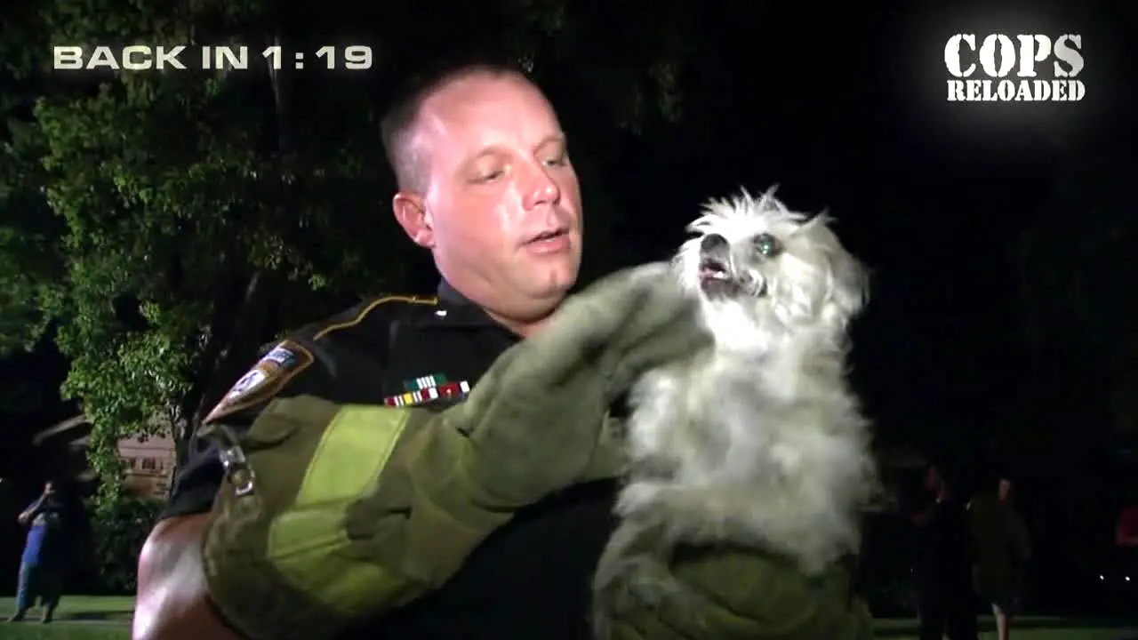 Cops Reloaded live
