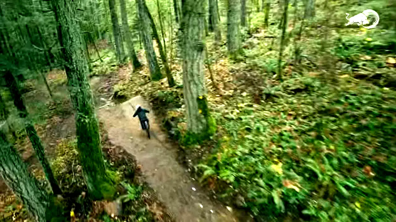 Red Bull TV live