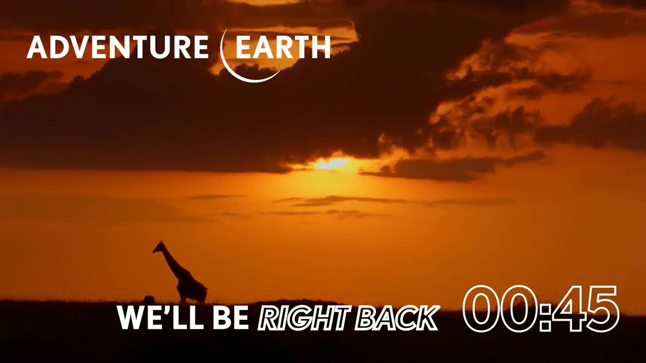 Adventure Earth in diretta