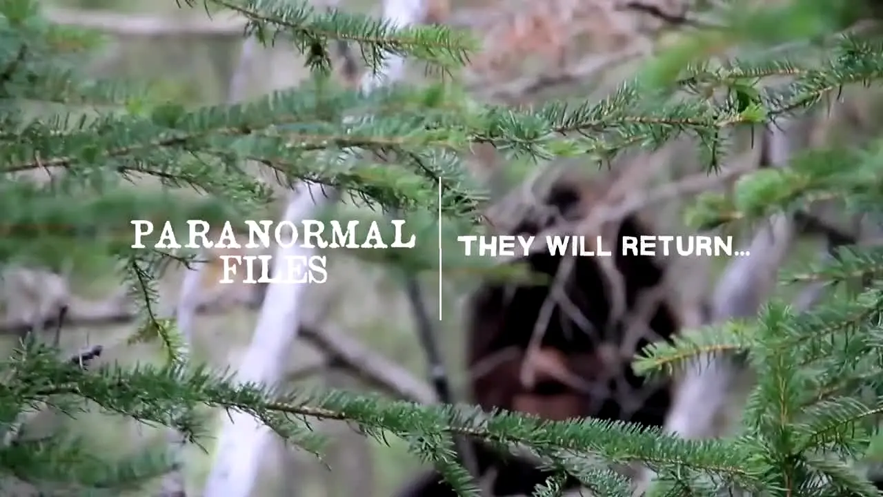 Paranormal Files live