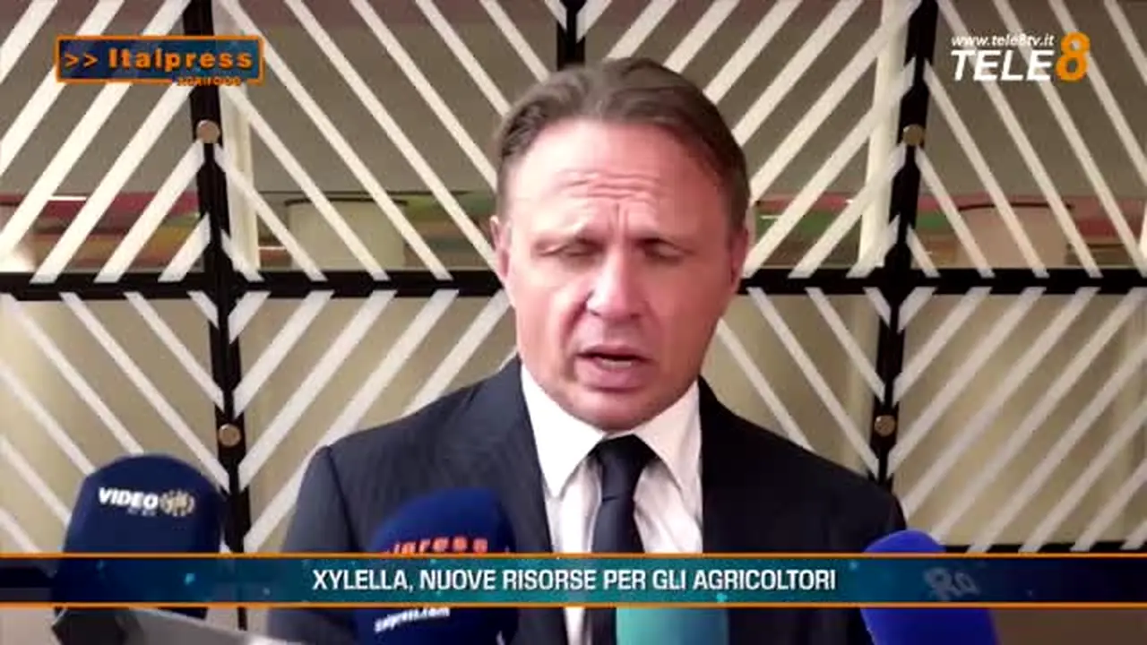 Tele8 TV live